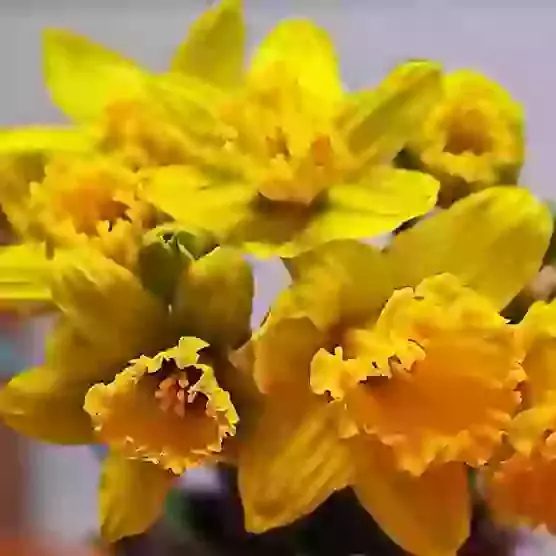 March, April, May 2026